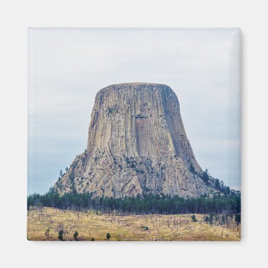 クマの家 マグネット (正面)