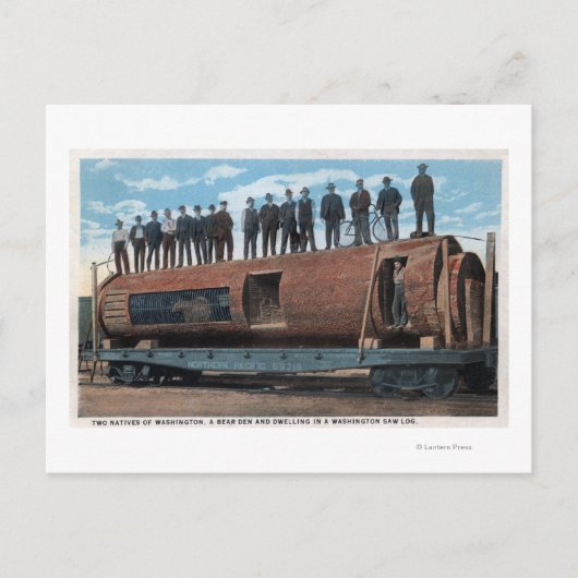 クマの檻と巨大な鋸丸太の中の住居 ポストカード (正面)
