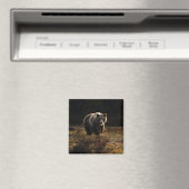クマの磁石 マグネット (インサイチュ (食洗機))