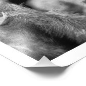 クマの腹 – アリカラメディカルマン フォトプリント (角)