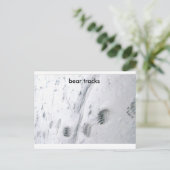 クマの足跡 ポストカード (スタンド正面)