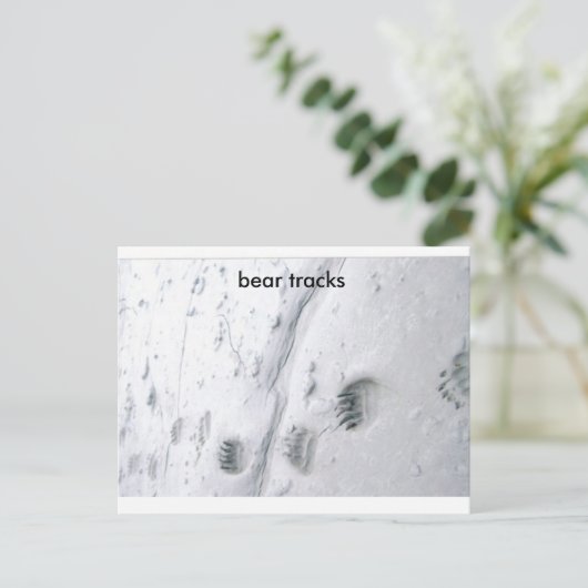 クマの足跡 ポストカード (スタンド正面)
