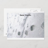 クマの足跡 ポストカード (正面/裏面)