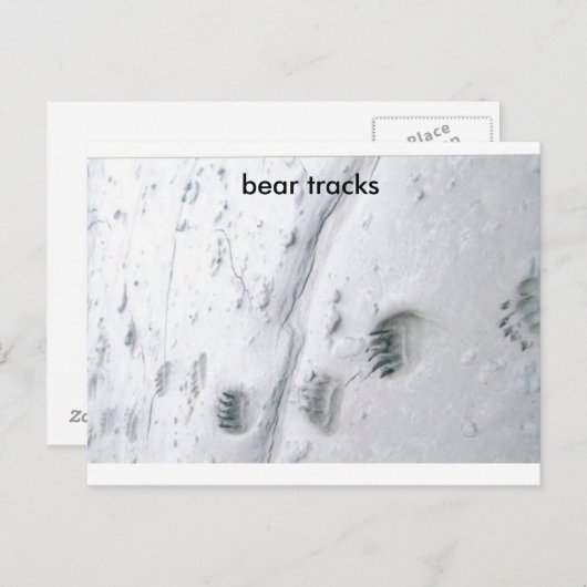 クマの足跡 ポストカード (正面/裏面)