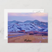 クマの足 ポストカード (正面/裏面)