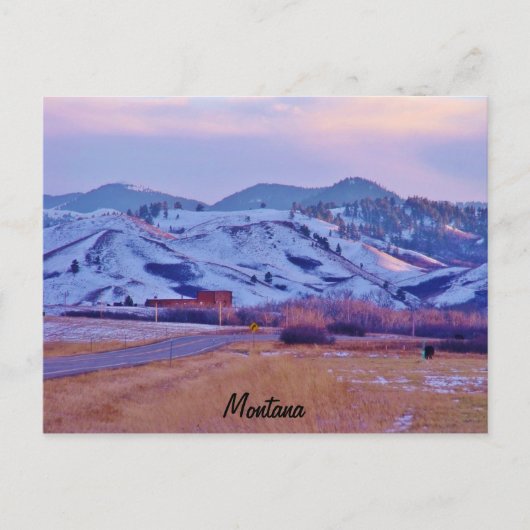 クマの足 ポストカード (正面)