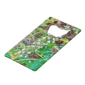 クマの雌雄同株 クレジットカード栓抜き (正面アングル)