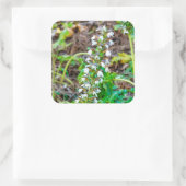 クマの雌雄同株 スクエアシール (バッグ)