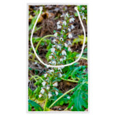 クマの雌雄同株 スモールペーパーバッグ (裏面)