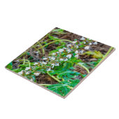 クマの雌雄同株 タイル (側面)