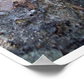 クマの顔 ポスター (角)