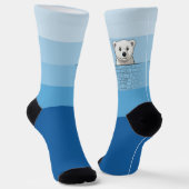 クマは壁を見下ろす、ブルーエンジェル ソックス (傾斜あり)