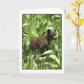 クマをベアーズカードにする カード (黄色い花)