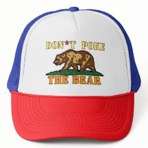 クマを突っ込むなカリフォルニア投票!