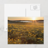 クマガサボノキの花のスタンド ポストカード (正面/裏面)