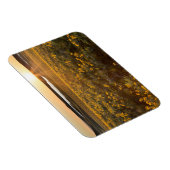 クマガサボノキの花のスタンド マグネット (右側)