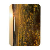 クマガサボノキの花のスタンド マグネット (縦)