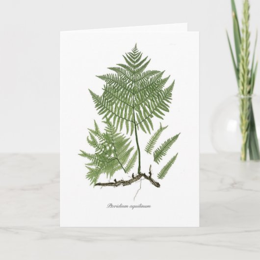 クマザサ カード (正面)