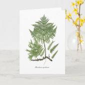 クマザサ カード (黄色い花)