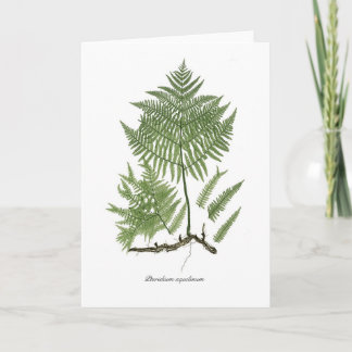 クマザサ カード