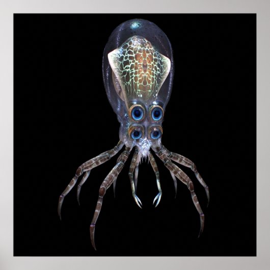 クマノコガスクス ポスター (正面)