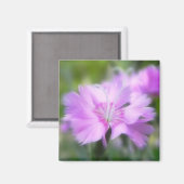 クマノハグサの花 マグネット (正面/裏面)