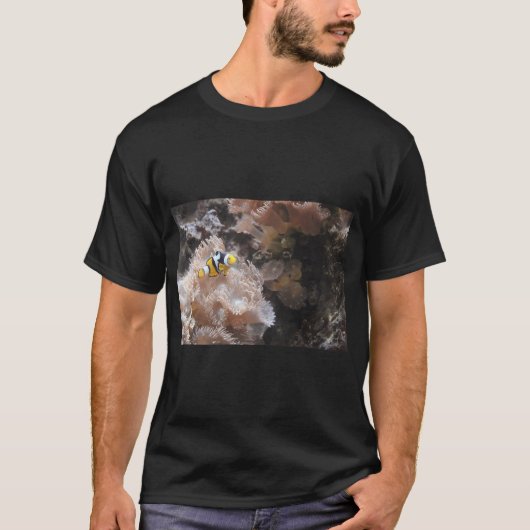 クマノミ Tシャツ (正面)