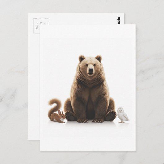 クマリスふくろう ポストカード (正面/裏面)