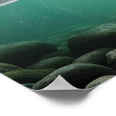 クマ威厳のあるキャッチ ポスター (角)