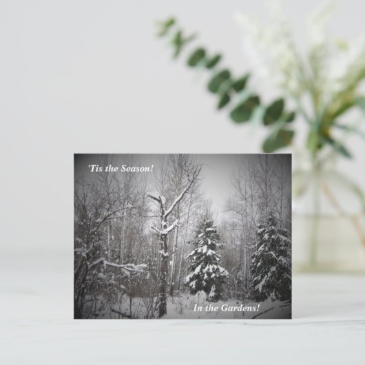 『クマ川菜園の冬 ポストカード (スタンド正面)