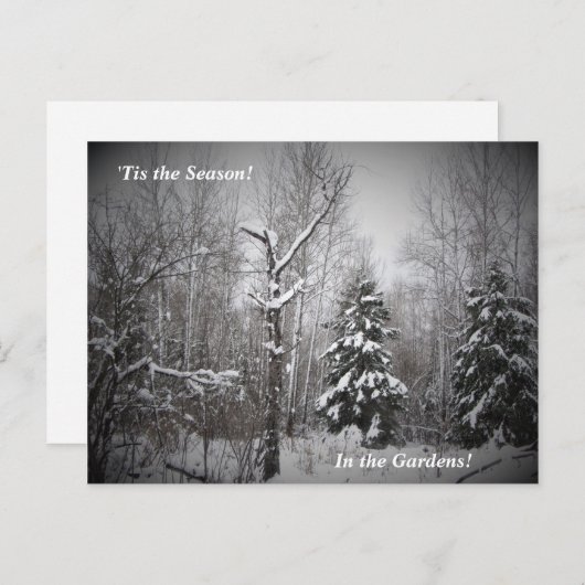 『クマ川菜園の冬 ポストカード (正面/裏面)