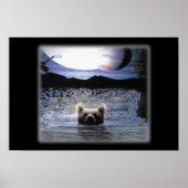 クマ惑星 ポスター (正面)