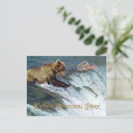クマ捕獲鮭カトマイ国立公園AK ポストカード (スタンド正面)