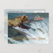 クマ捕獲鮭カトマイ国立公園AK ポストカード (正面/裏面)