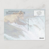 クマ捕獲鮭カトマイ国立公園AK ポストカード (裏面)