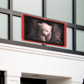 クマ肩付きバナー 横断幕 (ビルの外側)