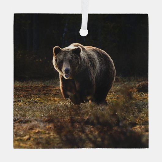 クマ ガラスオーナメント (裏面)