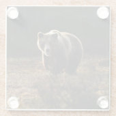 クマ ガラスコースター (裏面)