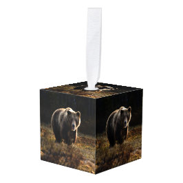 クマ キューブオーナメント