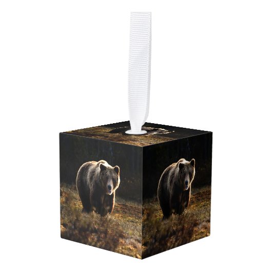 クマ キューブオーナメント (正面アングル)