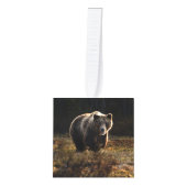 クマ キューブオーナメント (正面)