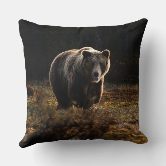 クマ クッション (裏面)