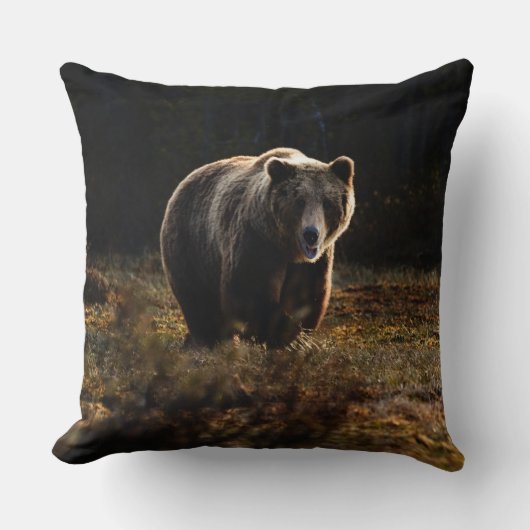 クマ クッション (正面)