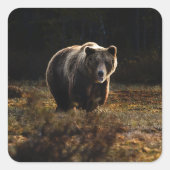 クマ スクエアシール (正面)