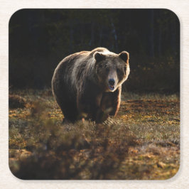 クマ スクエアペーパーコースター