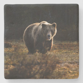 クマ ストーンコースター