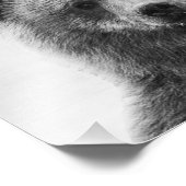 クマ フォトプリント            (角)