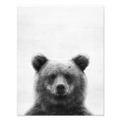 クマ フォトプリント            (正面)