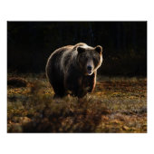 クマ ポスター (正面)