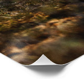 クマ ポスター (コーナー)